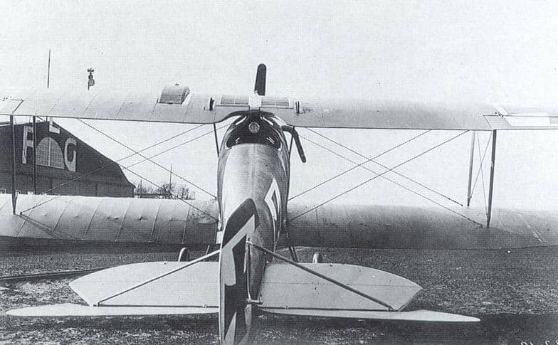 Опытный образец истребителя Роланд D II на испытаниях – 22 октября 1916 г. Вид сзади